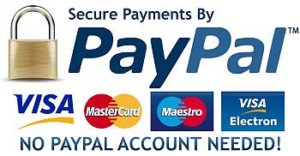 Paypal-Secure-Payments